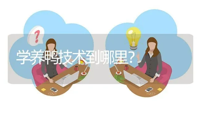 学养鸭技术到哪里? | 养殖问题解答