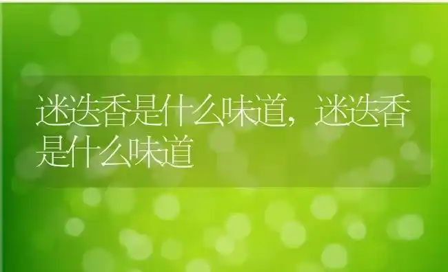 迷迭香是什么味道,迷迭香是什么味道 | 养殖常见问题