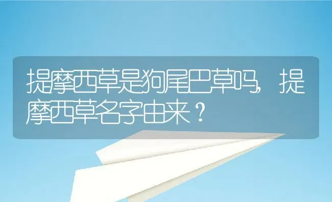 提摩西草是狗尾巴草吗,提摩西草名字由来？ | 养殖常见问题