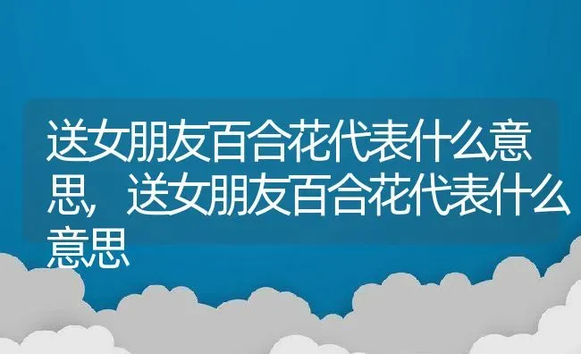 送女朋友百合花代表什么意思,送女朋友百合花代表什么意思 | 养殖常见问题