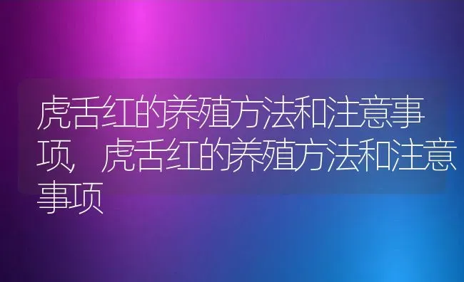 虎舌红的养殖方法和注意事项,虎舌红的养殖方法和注意事项 | 养殖常见问题