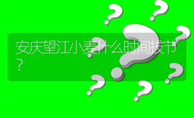 安庆望江小麦什么时间拔节? | 养殖问题解答