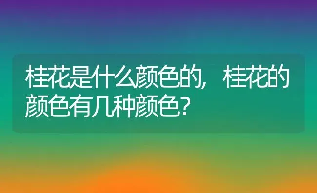 桂花是什么颜色的,桂花的颜色有几种颜色？ | 养殖常见问题