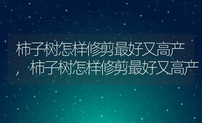 柿子树怎样修剪最好又高产,柿子树怎样修剪最好又高产 | 养殖常见问题