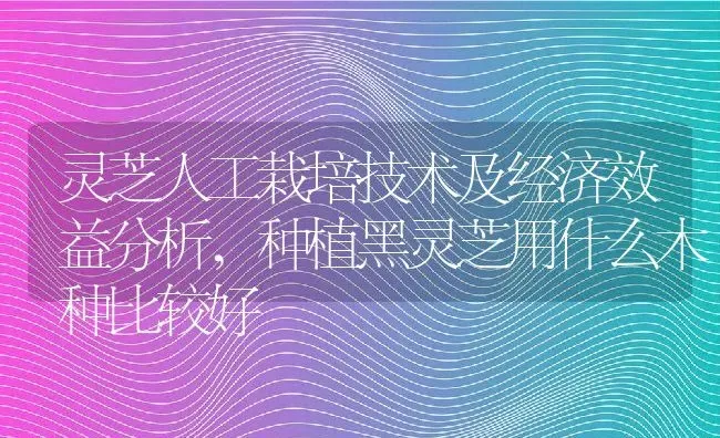 灵芝人工栽培技术及经济效益分析,种植黑灵芝用什么木种比较好 | 养殖常见问题