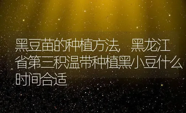 黑豆苗的种植方法,黑龙江省第三积温带种植黑小豆什么时间合适 | 养殖常见问题