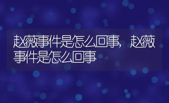 赵薇事件是怎么回事,赵薇事件是怎么回事 | 养殖常见问题