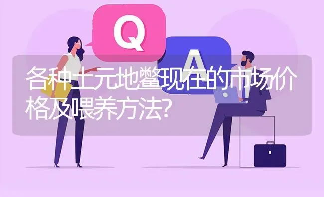各种土元地鳖现在的市场价格及喂养方法? | 养殖问题解答
