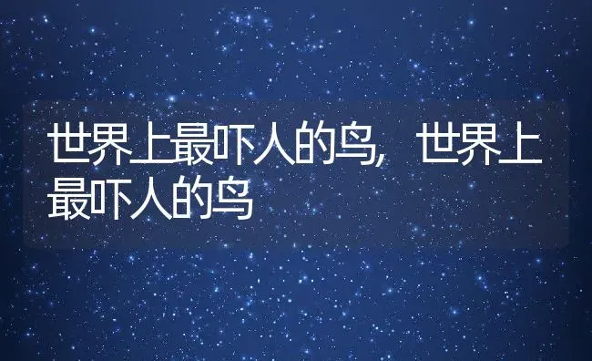世界上最吓人的鸟,世界上最吓人的鸟 | 养殖常见问题