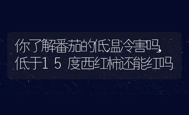 你了解番茄的低温冷害吗,低于15度西红柿还能红吗 | 养殖常见问题