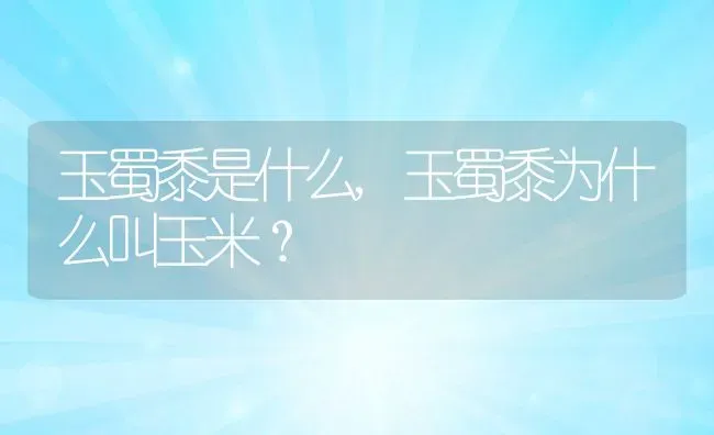 玉蜀黍是什么,玉蜀黍为什么叫玉米？ | 养殖常见问题