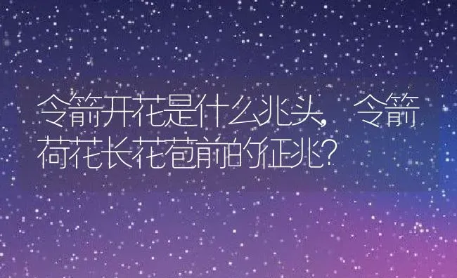 令箭开花是什么兆头,令箭荷花长花苞前的征兆？ | 养殖常见问题