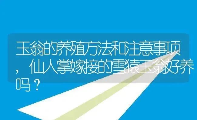 玉翁的养殖方法和注意事项,仙人掌嫁接的雪猿玉翁好养吗？ | 养殖常见问题