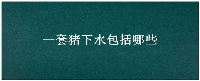 一套猪下水包括哪些 | 三农答疑