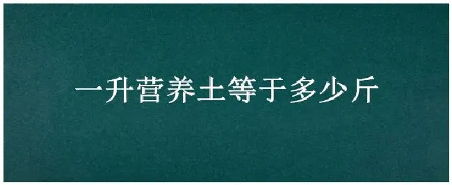 一升营养土等于多少斤 | 生活常识