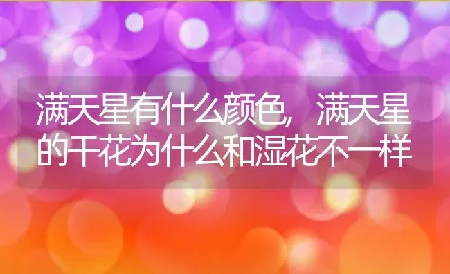 韭菜兰一年开几次花花期月份与时间,韭菜兰一年开几次花花期月份与时间 | 养殖常见问题