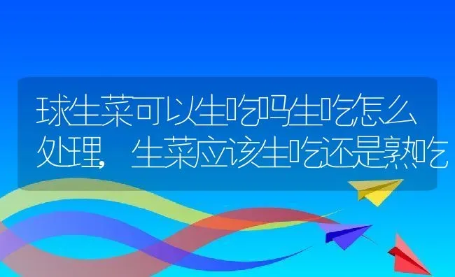 球生菜可以生吃吗生吃怎么处理,生菜应该生吃还是熟吃 | 养殖常见问题