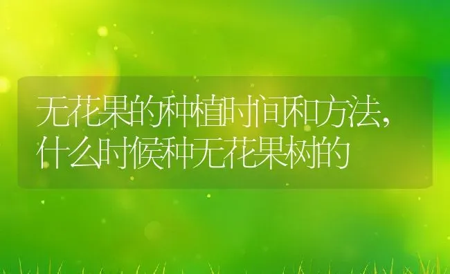 无花果的种植时间和方法,什么时候种无花果树的 | 养殖常见问题