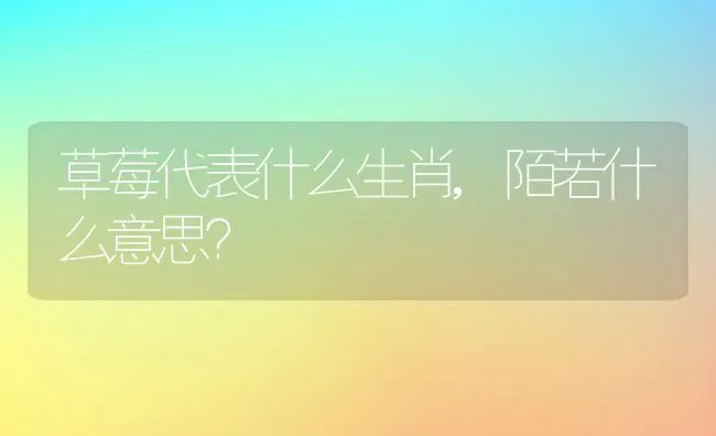 草莓代表什么生肖,陌若什么意思？ | 养殖常见问题