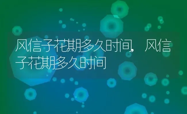 风信子花期多久时间,风信子花期多久时间 | 养殖常见问题