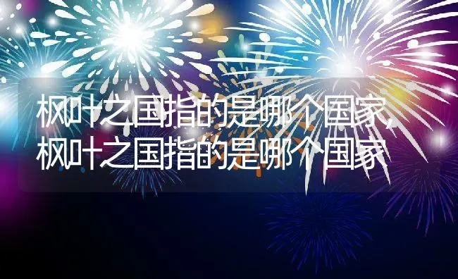枫叶之国指的是哪个国家,枫叶之国指的是哪个国家 | 养殖常见问题