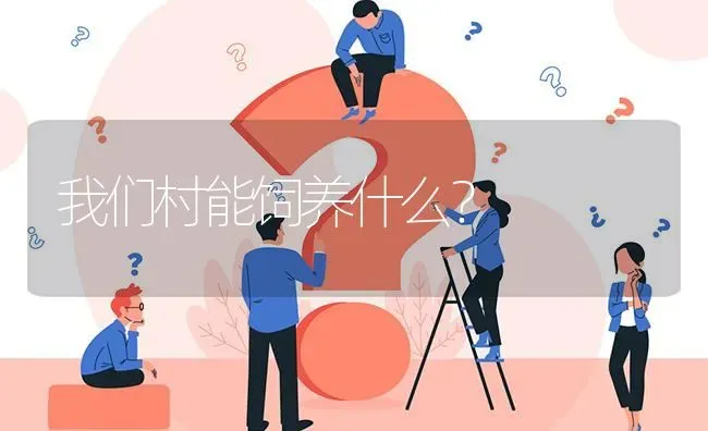 我们村能饲养什么? | 养殖问题解答