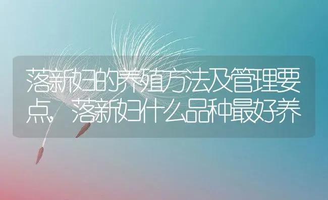 落新妇的养殖方法及管理要点,落新妇什么品种最好养 | 养殖常见问题