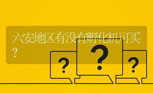 六安地区有没有孵化机可买? | 养殖问题解答