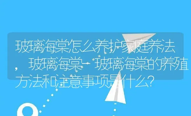 玻璃海棠怎么养护家庭养法,玻璃海棠-玻璃海棠的养殖方法和注意事项是什么？ | 养殖常见问题