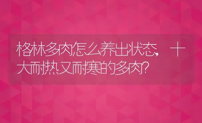 格林多肉怎么养出状态,十大耐热又耐寒的多肉？ | 养殖常见问题