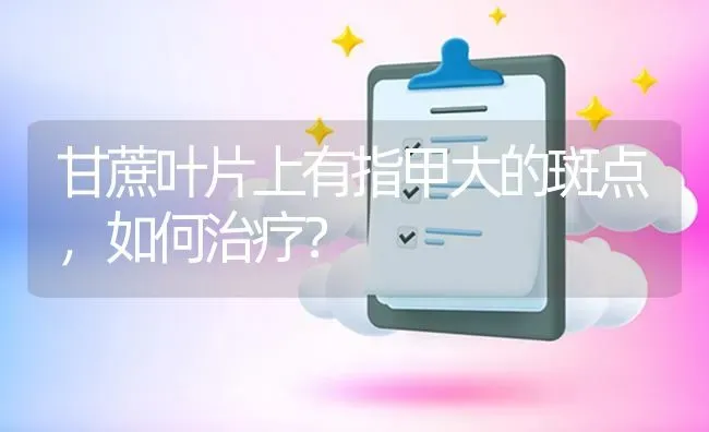 甘蔗叶片上有指甲大的斑点,如何治疗? | 养殖问题解答