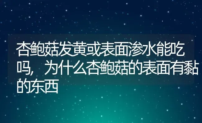 杏鲍菇发黄或表面渗水能吃吗,为什么杏鲍菇的表面有黏的东西 | 养殖常见问题