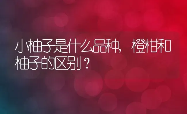 小柚子是什么品种,橙柑和柚子的区别？ | 养殖常见问题