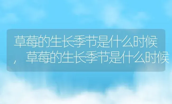 草莓的生长季节是什么时候,草莓的生长季节是什么时候 | 养殖常见问题