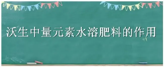 沃生中量元素水溶肥料的作用 | 三农答疑