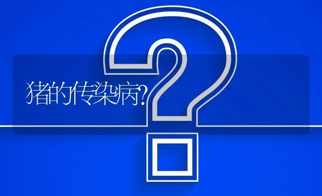 猪的传染病? | 养殖问题解答