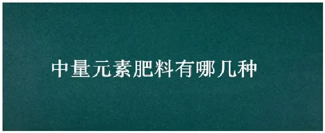 中量元素肥料有哪几种 | 农业问题