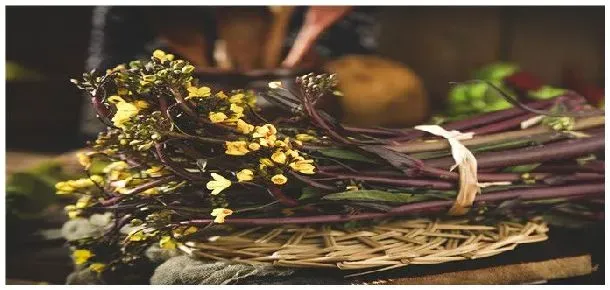 洪山菜苔的种植方法 | 农业问题