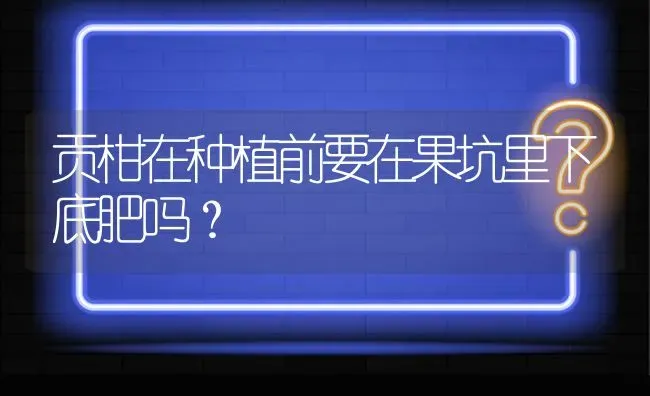 贡柑在种植前要在果坑里下底肥吗? | 养殖问题解答