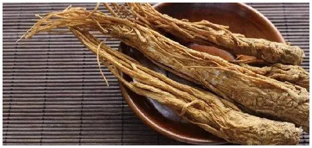 当归须和当归尾的区别 | 三农问答