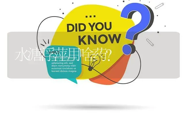 水溏浮萍用啥药? | 养殖问题解答