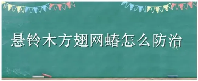 悬铃木方翅网蝽怎么防治 | 三农答疑