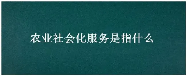 农业社会化服务是指什么 | 农业答疑