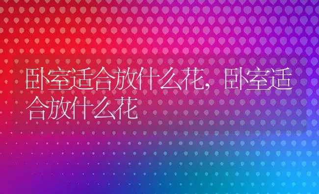 卧室适合放什么花,卧室适合放什么花 | 养殖常见问题