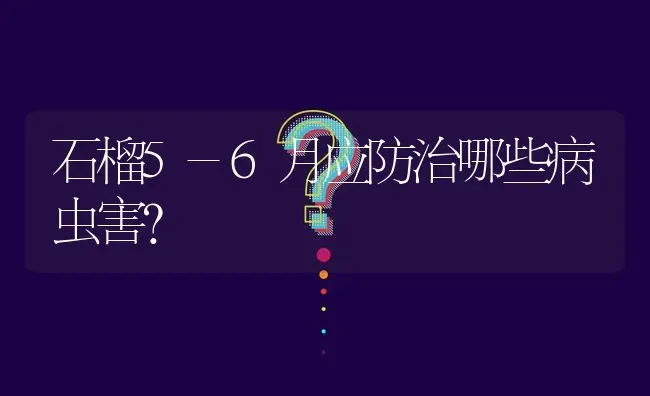 石榴5-6月应防治哪些病虫害? | 养殖问题解答