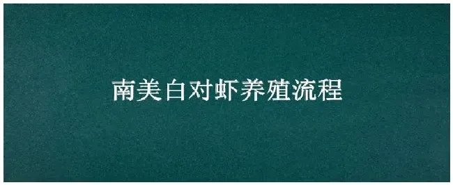 南美白对虾养殖流程 | 科普知识