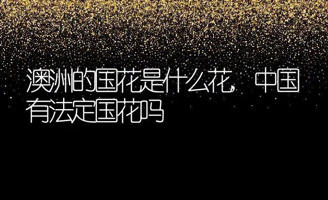 敦肃皇贵妃年氏叫什么,步步惊心四爷的年妃是谁？ | 养殖常见问题