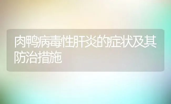 肉鸭病毒性肝炎的症状及其防治措施 | 养殖常见问题