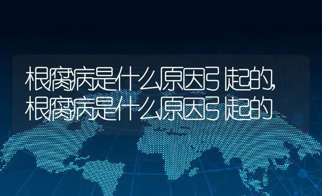 根腐病是什么原因引起的,根腐病是什么原因引起的 | 养殖常见问题