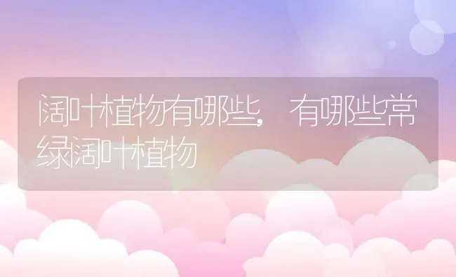 阔叶植物有哪些,有哪些常绿阔叶植物 | 养殖常见问题
